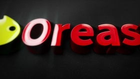 公司企業(yè)店鋪產(chǎn)品動(dòng)態(tài)logo制作編號(hào) 愛心效果的浪漫的婚禮視頻片頭