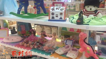 掘金鄉野新藍海 三大農村創業項目，玩具技術開發與銷售引領風潮